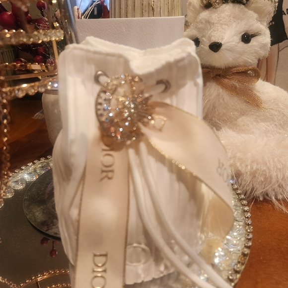 DIOR RIBBED POUCH IN UNBRANDED CHAIN W STUDS EVENING BAG NWT - Picture 13 of 15